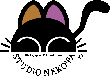 studio nekoya